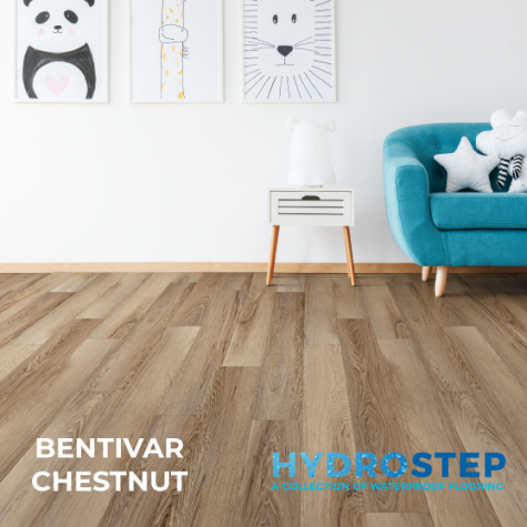 HYDROSTEP 1