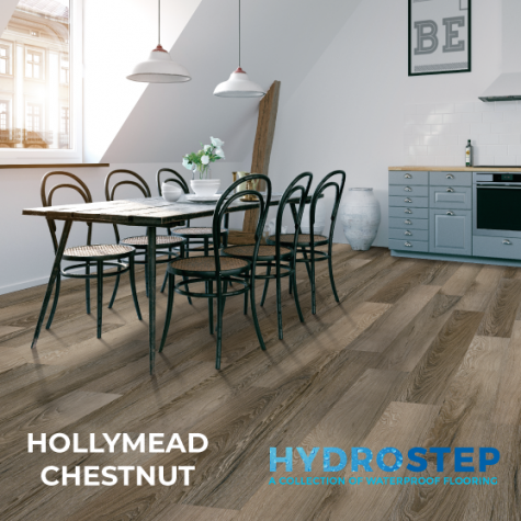 HYDROSTEP 1