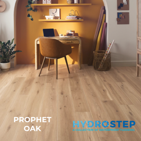 HYDROSTEP 2.0