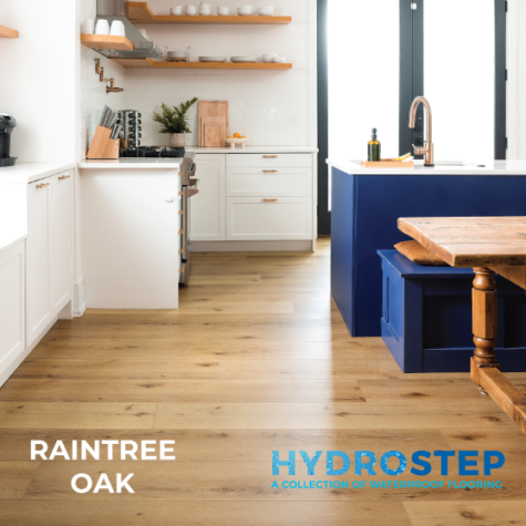 HYDROSTEP 1