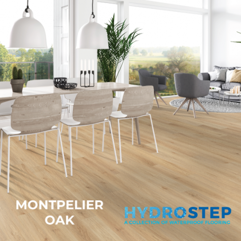 HYDROSTEP 1