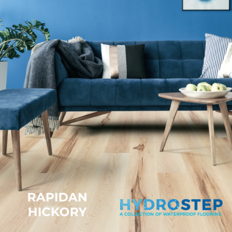 HYDROSTEP 1