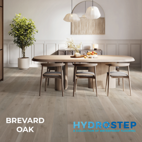 HYDROSTEP 1
