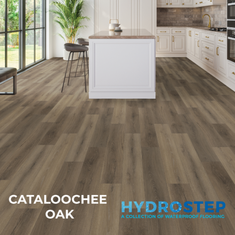 HYDROSTEP 1