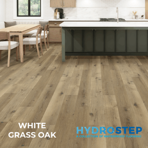 HYDROSTEP 1