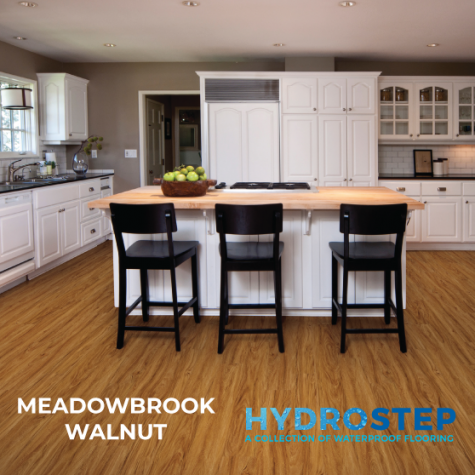 HYDROSTEP 1