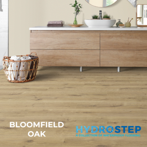 HYDROSTEP 1