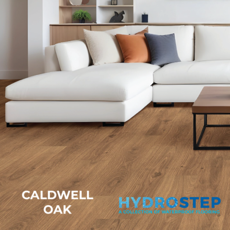 HYDROSTEP 1