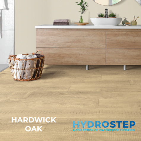 HYDROSTEP 1
