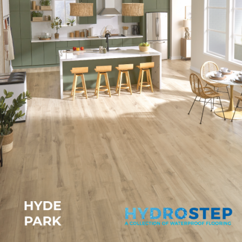 HYDROSTEP 1