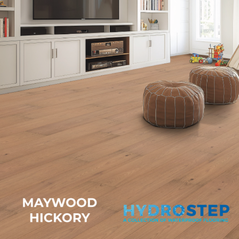 HYDROSTEP 1