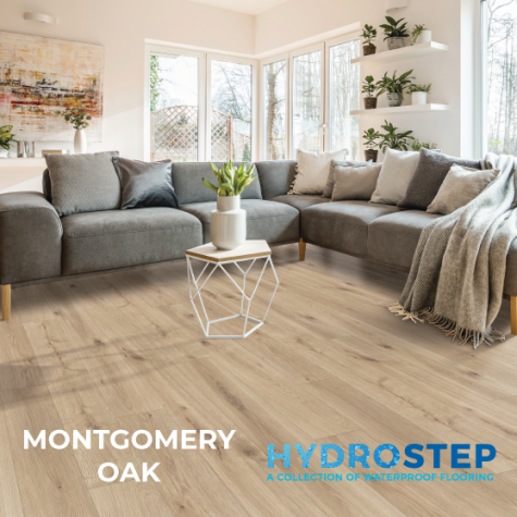 HYDROSTEP 1