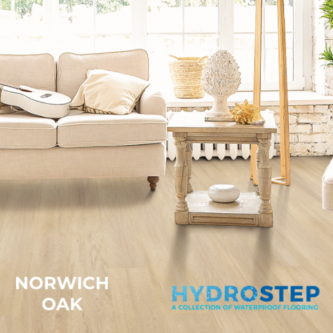 HYDROSTEP 1