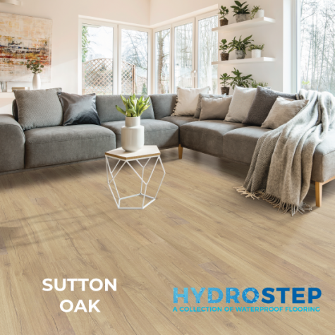 HYDROSTEP 1