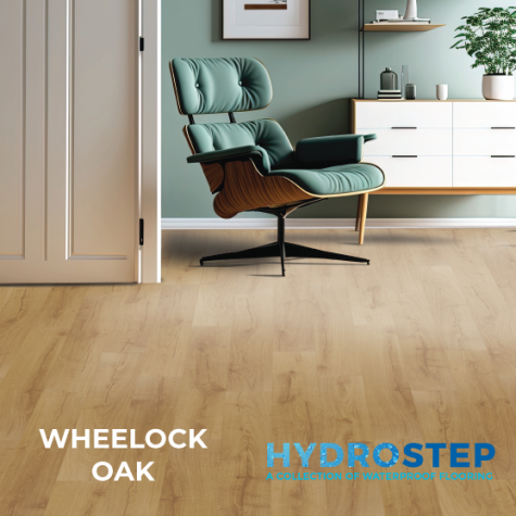 HYDROSTEP 1
