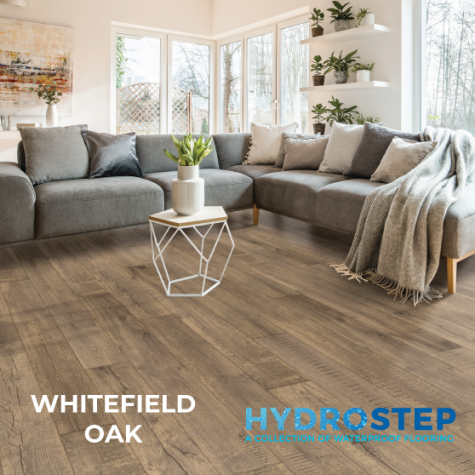 HYDROSTEP 1