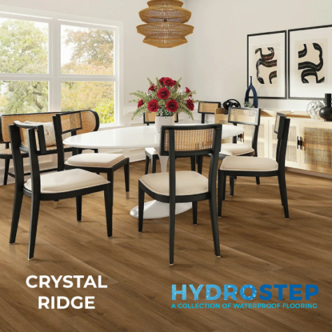 HYDROSTEP 1