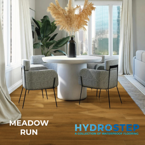 HYDROSTEP 1