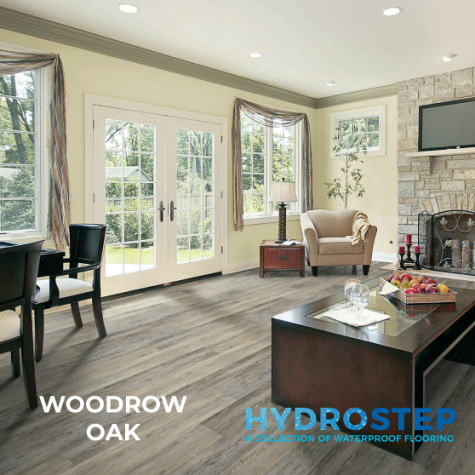 HYDROSTEP 2.0