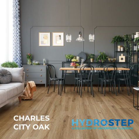 HYDROSTEP 2.0