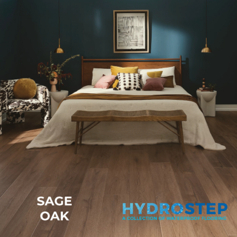 HYDROSTEP 2.0