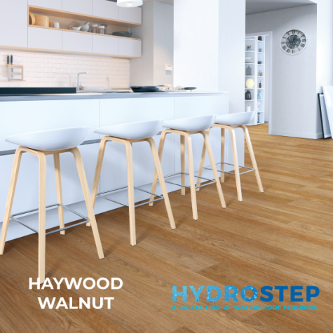 HYDROSTEP 2.0