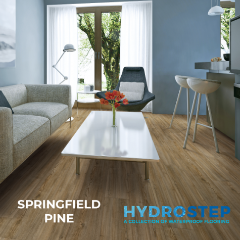 HYDROSTEP 2.0