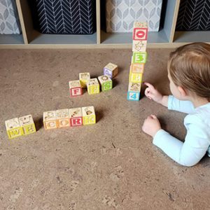 Eco-Ash-Blocks