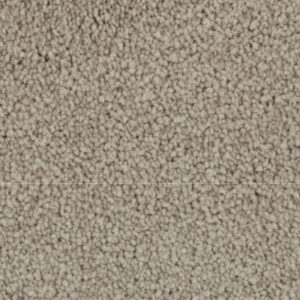 KS120Frothy